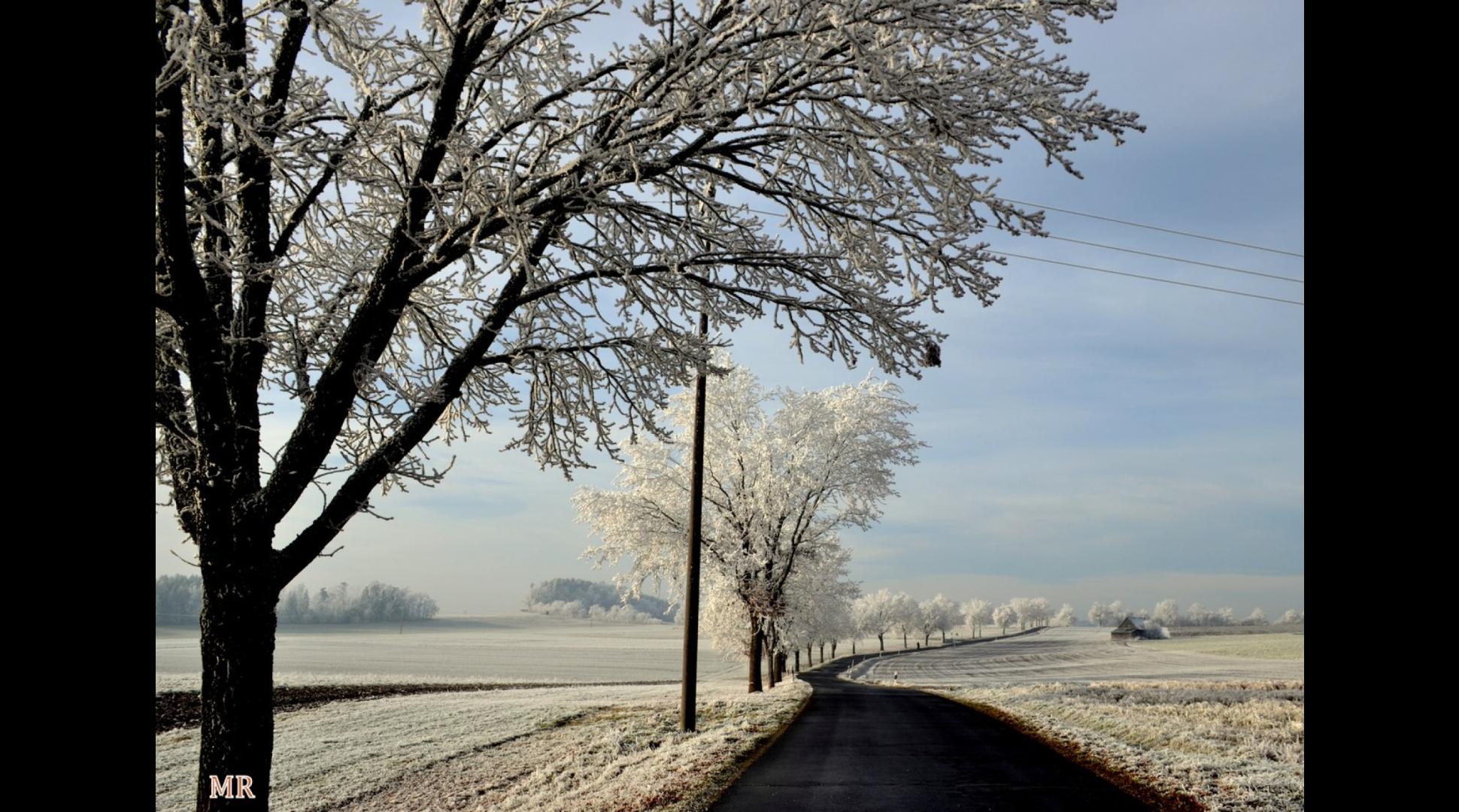 Wintertraum